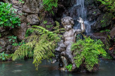 Portekiz 'in Madeira adasındaki Monte Sarayı Tropikal Bahçesi' nde dolaş.