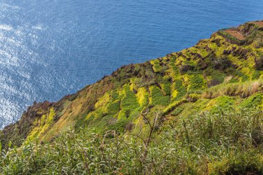 Portekiz 'in Madeira Adası' nın kuzey kayalıklarından Atlantik manzarası