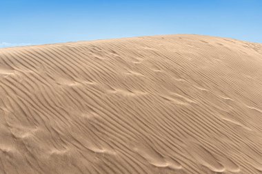 Kum tepeleri Dunas de Maspalomas, Gran Kanarya, Kanarya Adaları, İspanya