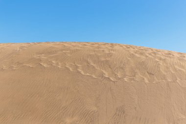 Kum tepeleri Dunas de Maspalomas, Gran Kanarya, Kanarya Adaları, İspanya