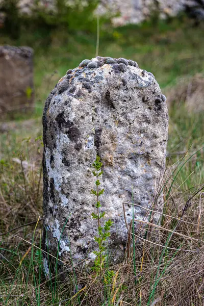 Trstin, Slovakya, Avrupa yakınlarındaki eski bir Yahudi mezarlığının parçaları.
