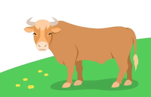 Domestic Bull Grazing Green Pasture Farm Animal Simple Flat Cartoon — Stock Vector