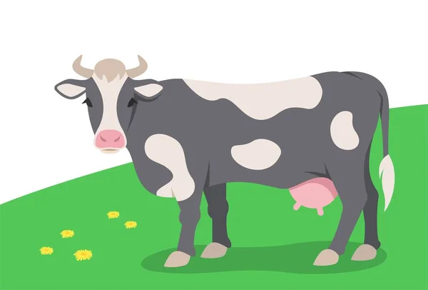 Gehörnte Schwarz Weiße Kuh Steht Auf Dem Grünen Gras Haustiere — Stockvektor