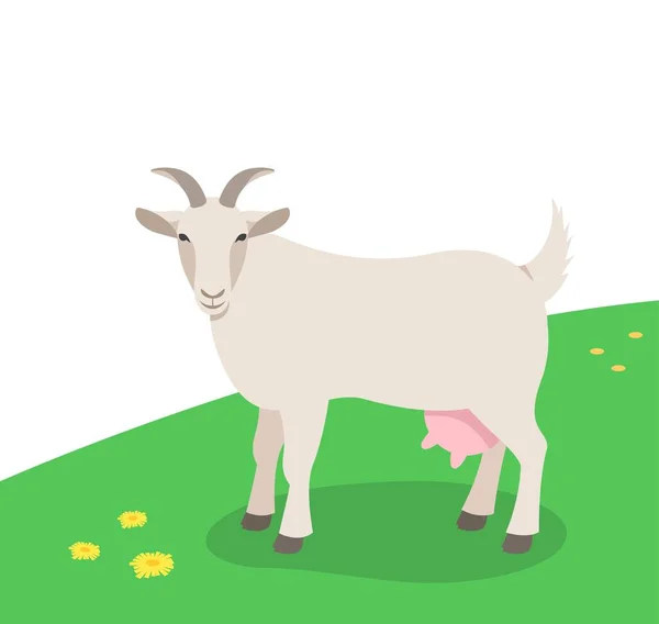 緑の芝生の上に立つヤギの角 春の牧草地で家畜放牧 フラット漫画イラスト 春の牧草地背景 — ストックベクタ