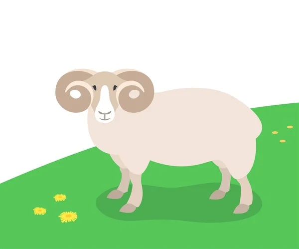 緑の芝生の上に立っているラムの角 春の牧草地で家畜放牧 平漫画イラスト — ストックベクタ