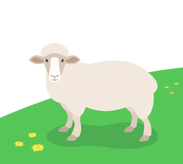 羊の緑の牧草地に立っている 春の牧草地で家畜放牧 平漫画イラスト — ストックベクタ