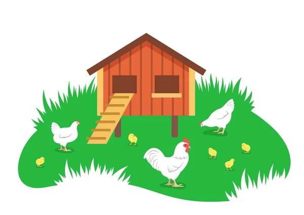 公鸡和小鸡在绿草中的鸡舍里吃草 在生态农场养鸡 平面卡通画 家养雀鸟 雄鸟和雌鸟 有后代 — 图库矢量图片