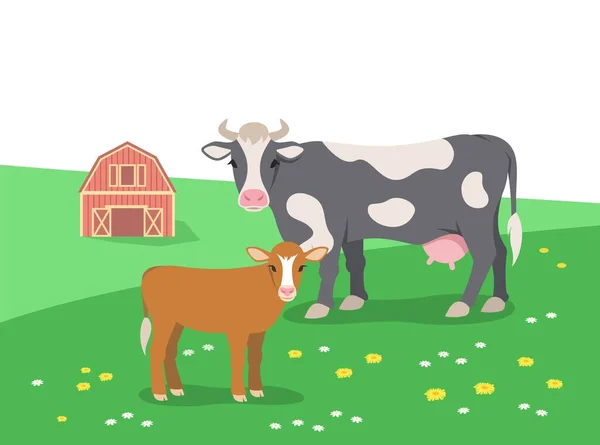 夏の花の牧草地で牛や子牛の放牧 遠くの農場の納屋 無料の範囲の牛 エコ農業の概念 平型図 — ストックベクタ