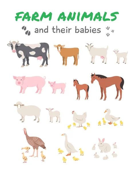 Θηλυκά Ζώα Απογόνους Αγελάδα Και Μοσχάρι Πρόβατα Αρνί Χοίρος Και — Διανυσματικό Αρχείο