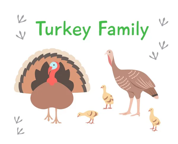 トルコの家族 そしてさまざまなポーズの鍋で フラットベクトル漫画イラスト 白に隔離されてる 家畜の鳥 オスとメスの子孫 ロイヤリティフリーのストックイラスト