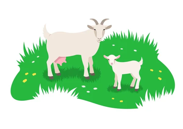 白いヤギと彼女の小さな子供は緑の牧草地で放牧しています シンプルなフラットベクターイラスト ストックイラスト