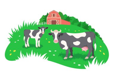 Yeşil çayırda küçük bir buzağı otlayan siyah ve beyaz inek. Uzaktaki kırmızı çiftlik ahırı. Serbest tarım sığırları, eko tarım kavramı. Basit düzleştirilmiş kırsal illüstrasyon
