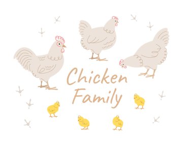 Şirin karalama tavuk ailesi üyeleri. El yapımı doğrusal tavuk, horoz ve beyaz üzerinde izole edilmiş, farklı pozlarda sevimli piliçler. Şekillendirilmiş vektör karikatür çizimi. Yerli çiftlik kuşları. Tam uzunluk