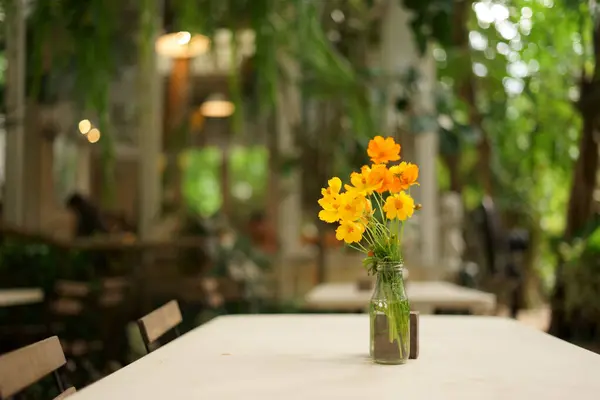 Yellow sulfur cosmos blooms gracefully in a vase, adorning the table with its cheerful hues, with blur background with copy space