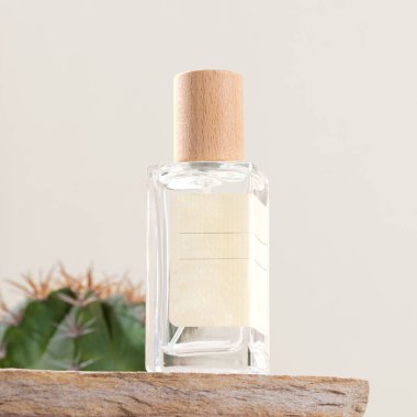 Doğal taşın üzerinde yeşil kaktüs ve bej renkli arka planda yeşil kaktüs bulunan Aromatik parfüm ürünü şişe fotoğrafçılığı