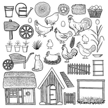  Mutlu tavuk klipleri. Çiftlik Hayvanı, Horoz, Tavuk, Bio Yumurta, Coop, Piliçler, Yuva, Eko Köyü. Çizgi çalışması. Stok çizimi. El boyası.