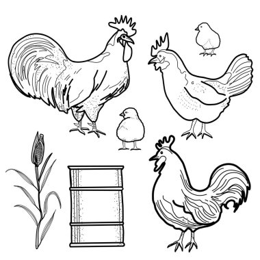  Mutlu tavuk klipleri. Çiftlik Hayvanı, Horoz, Tavuk, Bio Yumurta, Coop, Piliçler, Yuva, Eko Köyü. Çizgi çalışması. Stok çizimi. El boyası.