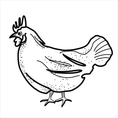 Mutlu tavuk klipleri. Çiftlik Hayvanı, Horoz, Tavuk, Bio Yumurta, Coop, Piliçler, Yuva, Eko Köyü. İzole elementler. Stok çizimi. El boyaması sanat, karalama.