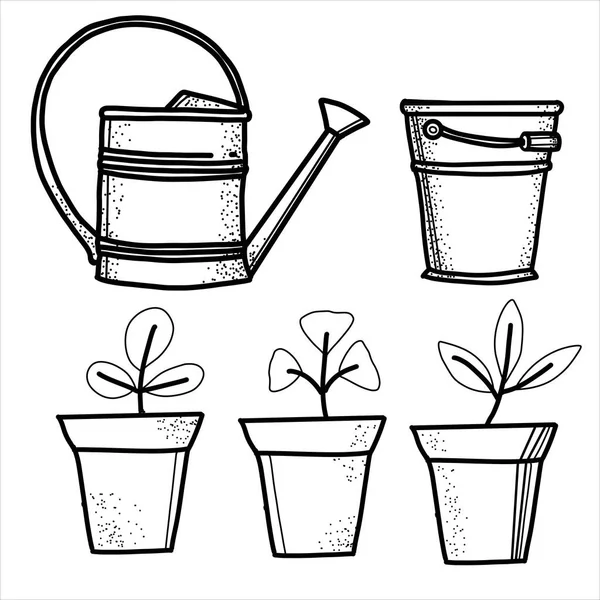 Plant Seedlings Pots Old Watering Can Vintage Bucket Eco Village — Stock Vector