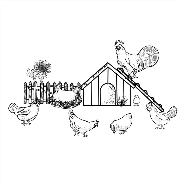 快乐的鸡群 采购产品农场动物 生态村 孤立的因素 库存说明 手绘线条艺术 — 图库矢量图片