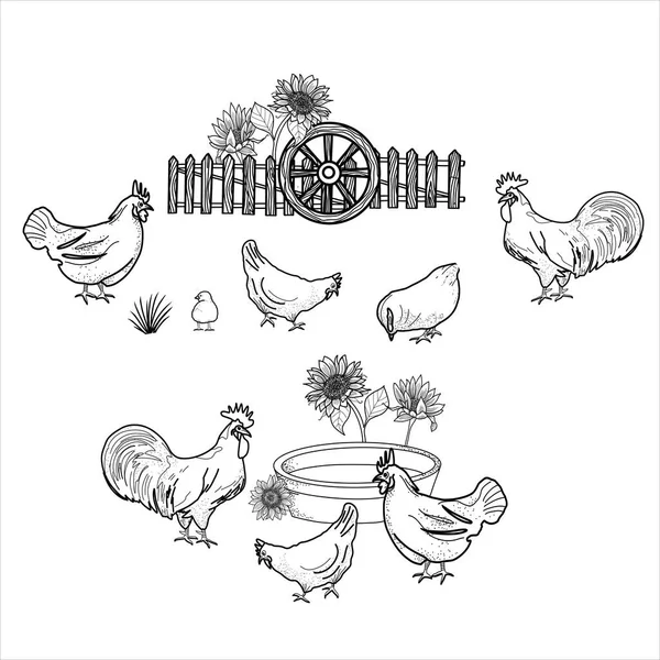 Feliz Clipart Frango Farm Animals Rooster Hen Bio Eggs Coop —  Vetores de Stock