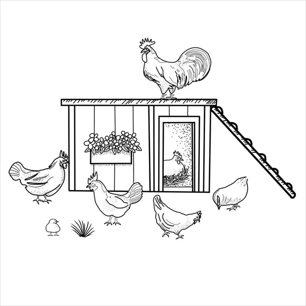 Boldog Csirke Előfizetést Háziállatok Kakas Tyúk Bio Tojás Coop Chicks — Stock Vector
