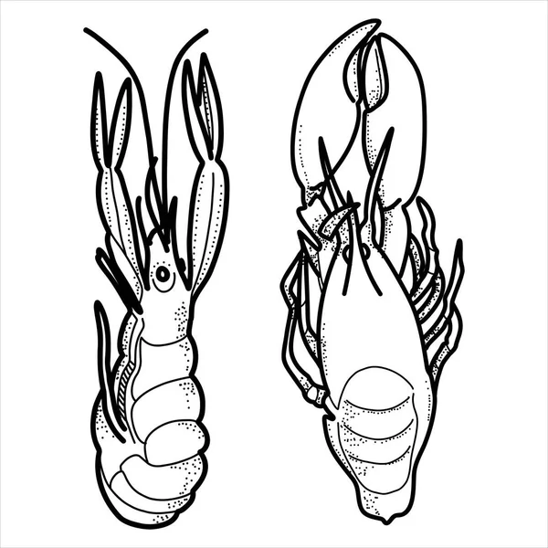 Seafood Crawfish Boil Louisiana Clipart Shrimps Fish Squid Kitchen Illustration — Image vectorielle