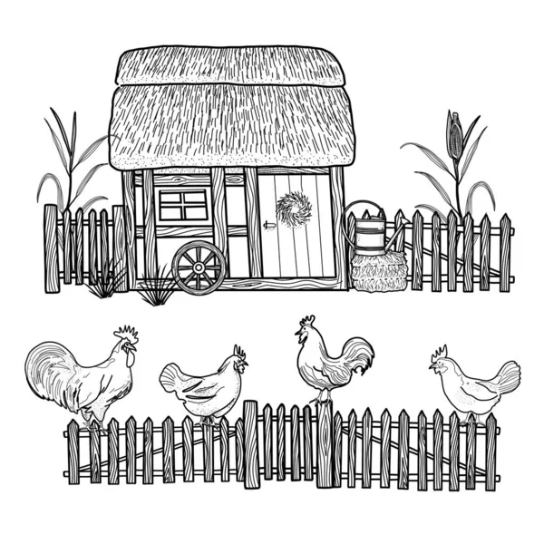 Щасливої Курячої Клітки Farm Animals Rooster Hen Bio Eggs Coop — стоковий вектор