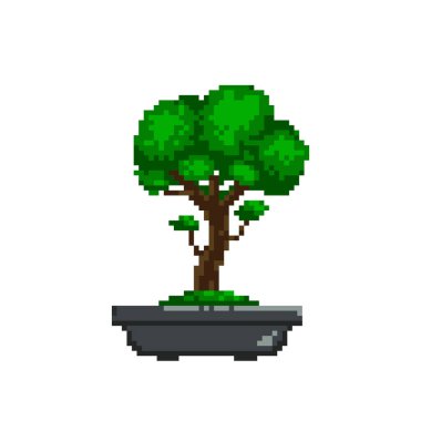Japanese bonsai trees, in the style of pixel art. Beautiful realistic tree. Bonsai style tree. Decorative small tree. Vector isolated background