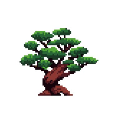 Japanese bonsai trees, in the style of pixel art. Beautiful realistic tree. Bonsai style tree. Decorative small tree. Vector isolated background