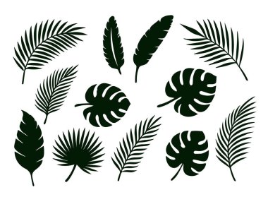 Canavar silueti, muz, palmiye yaprakları. Beyaz arkaplanda izole edilmiş vektör.