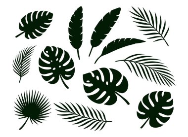 Canavar silueti, muz, palmiye yaprakları. Beyaz arkaplanda izole edilmiş vektör.