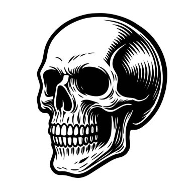 El çizimi anatomik kafatası. Oyma vintage vektör illüstrasyonu