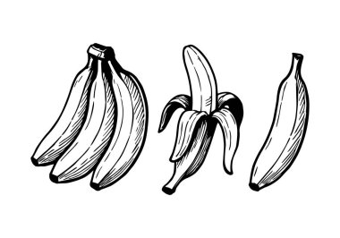 Farklı sürümlerde muz resmi çizmek. Vektör çizimi. El çizimi. İşlemenin biçimi.