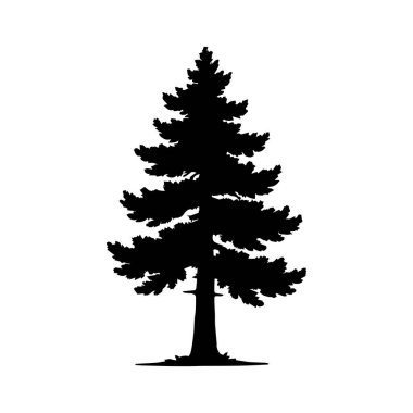 Çam ve çam ağaçlarının silueti. Beyaz arkaplanda izole.