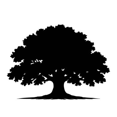 Meşe ağacı silueti beyaz arka planda izole edilmiş. Ağaç logosu. Vektör simgesi