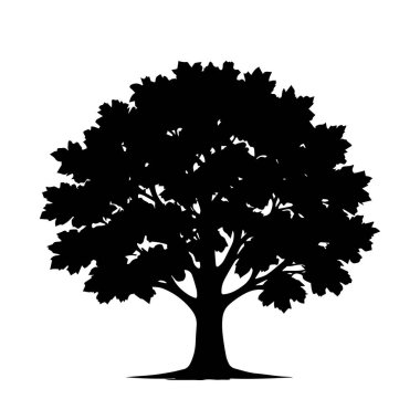 Meşe ağacı silueti beyaz arka planda izole edilmiş. Ağaç logosu. Vektör simgesi