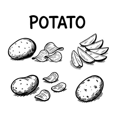 Bir dizi patates çizimi. Dilimlenmiş parçalar ve cips. izole arkaplan