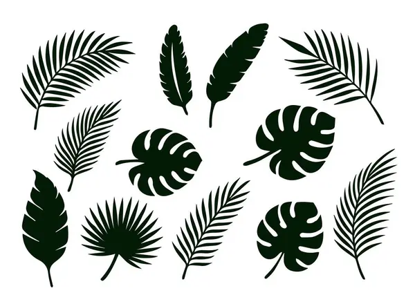 Canavar silueti, muz, palmiye yaprakları. Beyaz arkaplanda izole edilmiş vektör.