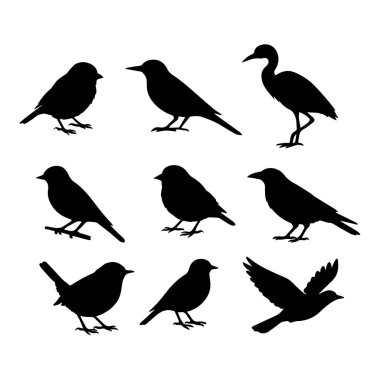 Kuş silueti vektör kümesi çizicisi