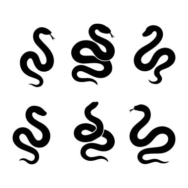 Yılan silueti. Beyaz arka planda izole edilmiş yılan.