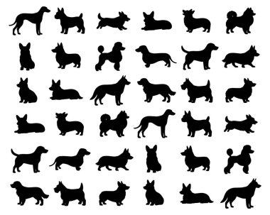 Farklı cinsten köpek siluetleri. Arkaplan EPS 10 üzerinde vektör izole edildi
