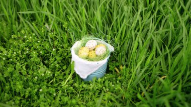 Sıcak ve güneşli bir günde yeşil çimenlikte eğlenceli bir Paskalya macerası