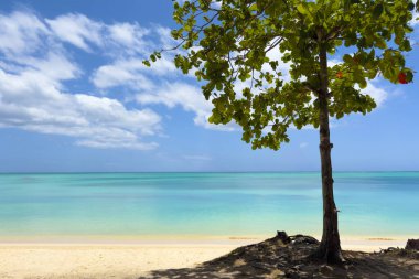 Güzel tropikal Mont Choisy Sahili, Hint Okyanusu 'ndaki Mauritius Adası, mavi bulutlu gökyüzü arka planı