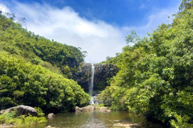 Yedi su Karadeniz 'e dökülür, Mauritius adasının batı yakası, Hint Okyanusu.