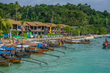 Krabi Tayland 'da turkuaz yeşil suyu olan Phi phi adası
