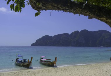 Tayland 'ın Krabi eyaletinde deniz manzaralı uzun kuyruklu bir tekne.