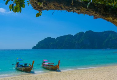 Tayland 'ın Krabi eyaletinde deniz manzaralı uzun kuyruklu bir tekne.