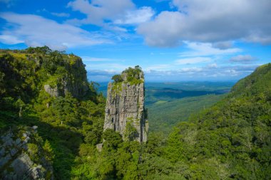 Blyde Graskop Güney Afrika 'da bir kuartzit kaya oluşumu