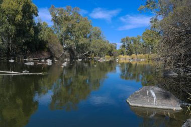 Parys, Güney Afrika 'da Vaal Nehri kıyısında küçük bir kasabadır.